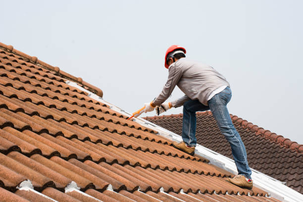 Best Sheet Metal Roofing  in Shell Kno, MO